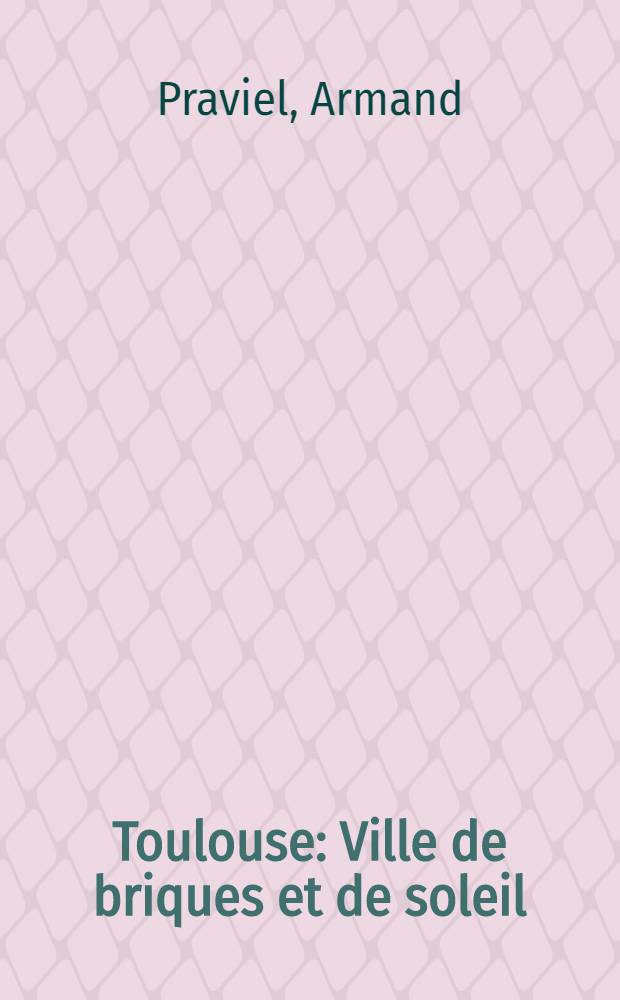 ... Toulouse : Ville de briques et de soleil