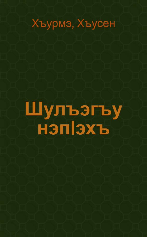 Шулъэгъу нэпIэхъ : Роман = Иллюзия любви