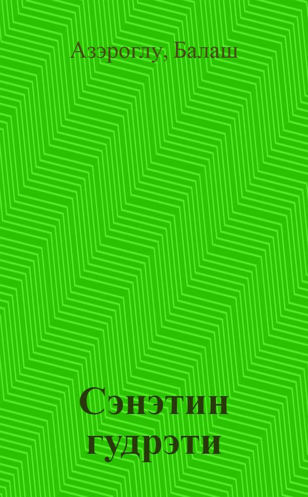 Сэнэтин гудрэти = Мощь искусства