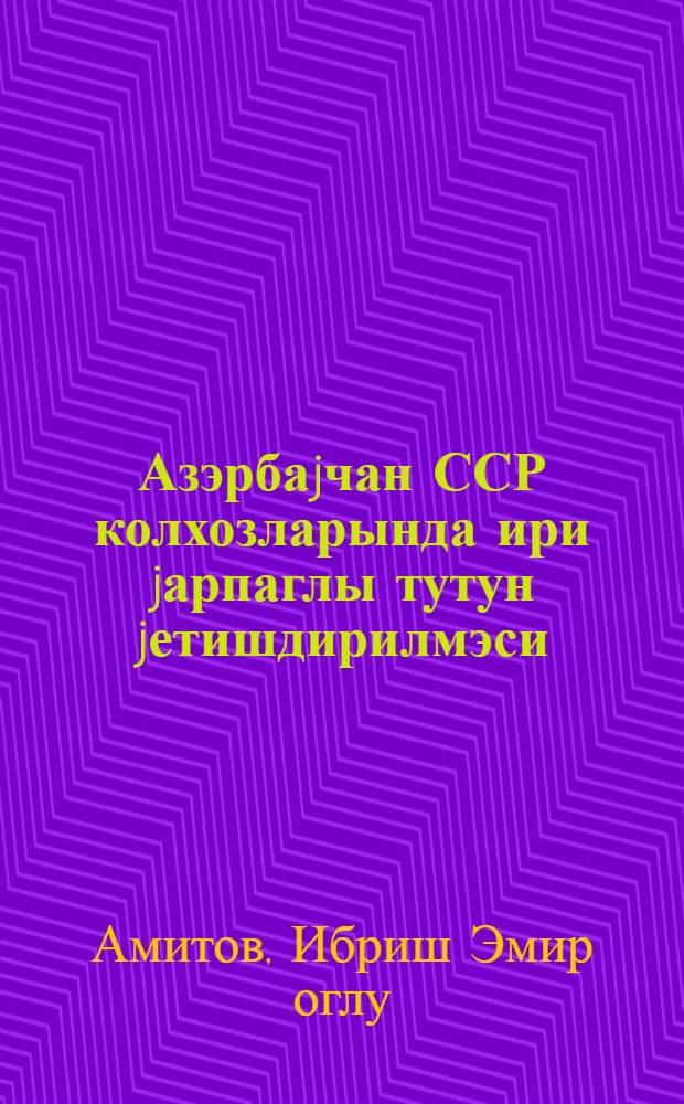 Азэрбаjчан ССР колхозларында ири jарпаглы тутун jетишдирилмэси = Возделывание крупнолистных табаков в колхозах Азербайджанской ССР
