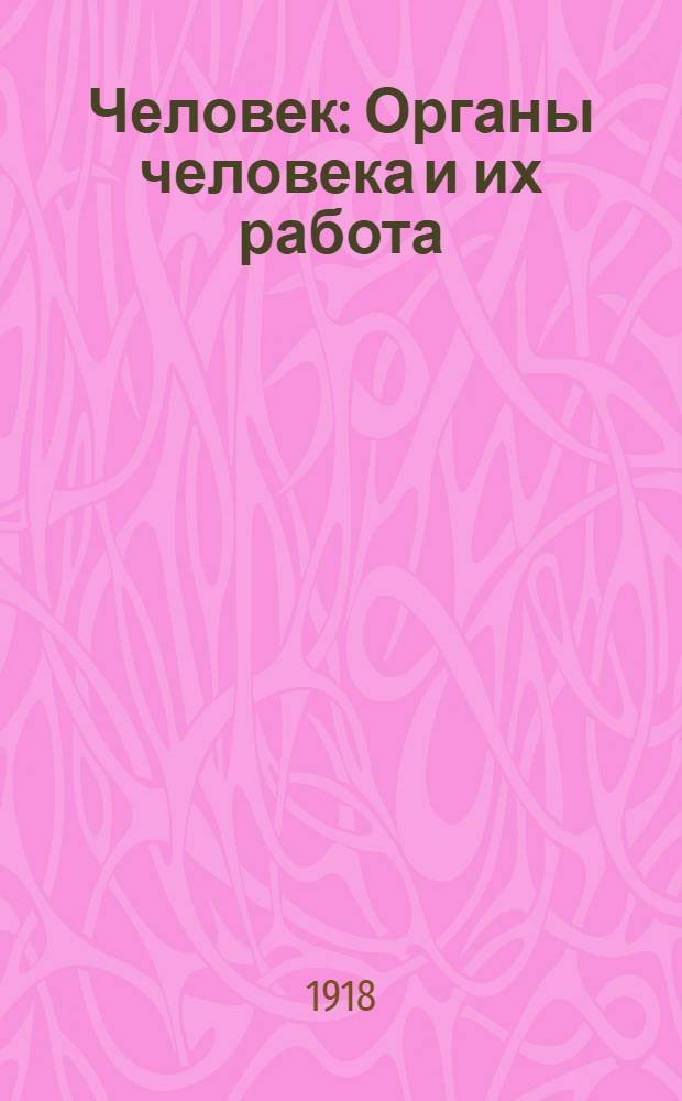 Человек : Органы человека и их работа