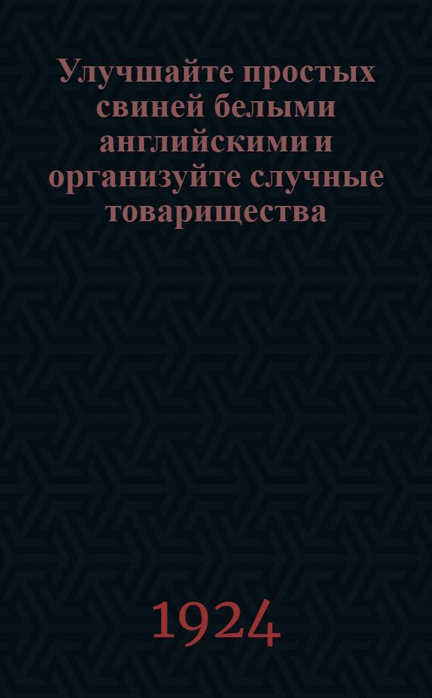 Улучшайте простых свиней белыми английскими и организуйте случные товарищества