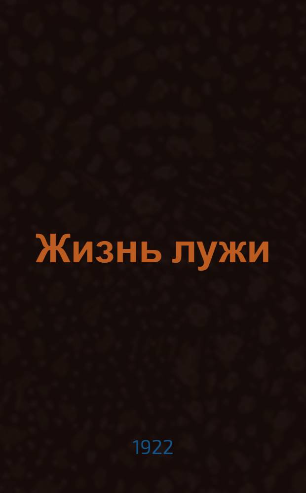 Жизнь лужи