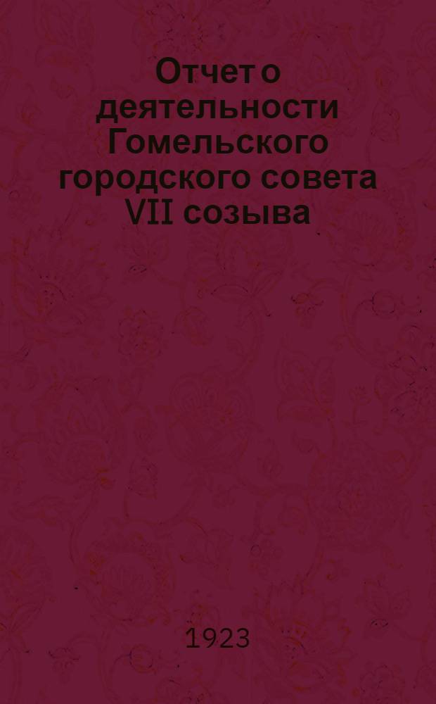 Отчет о деятельности Гомельского городского совета VII созыва