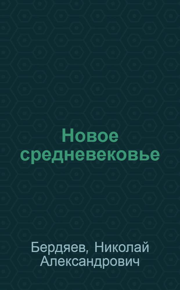 Новое средневековье : Размышление о судьбе России и Европы