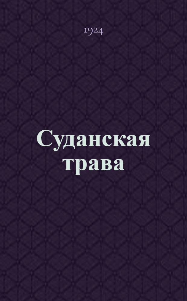 Суданская трава