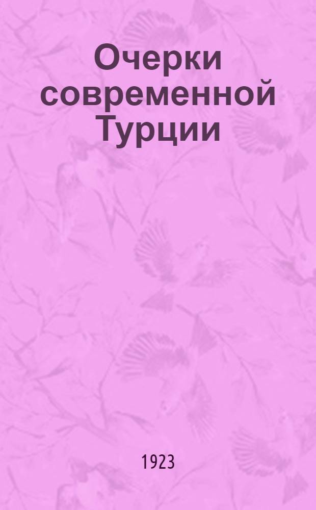 Очерки современной Турции