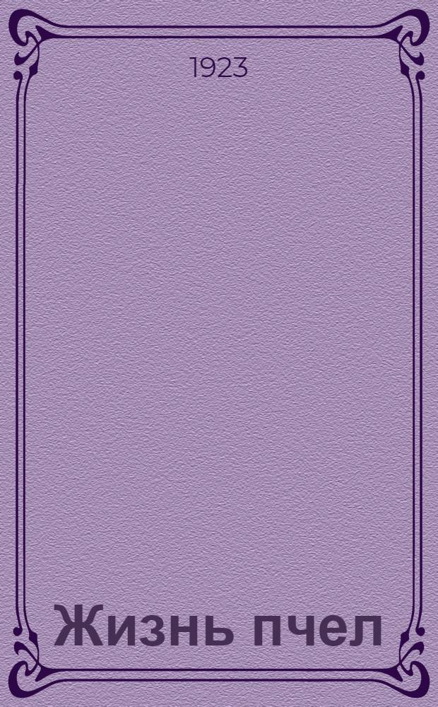 Жизнь пчел