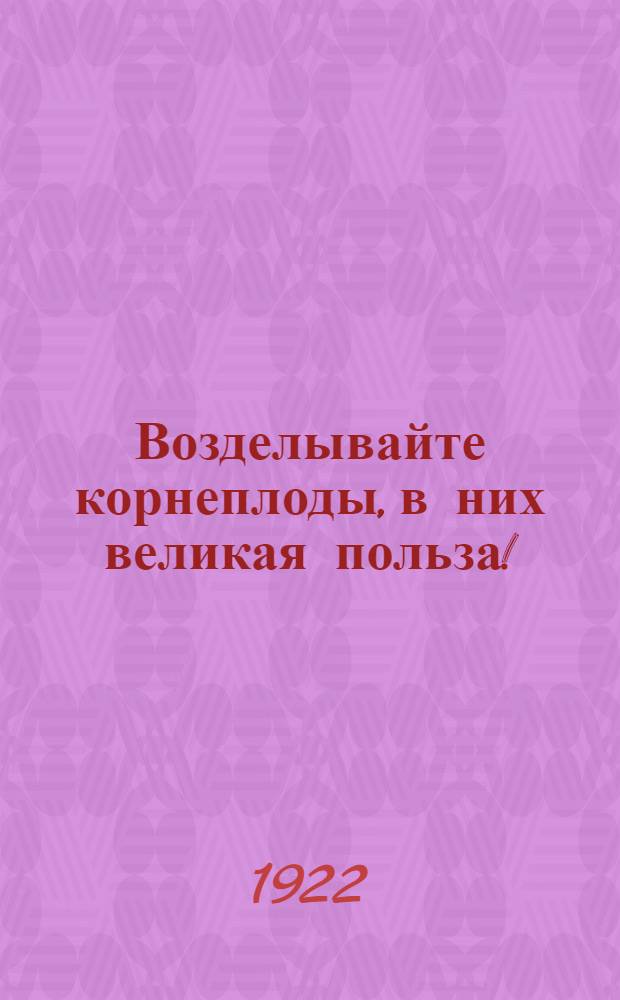 Возделывайте корнеплоды, в них великая польза! : С рис.