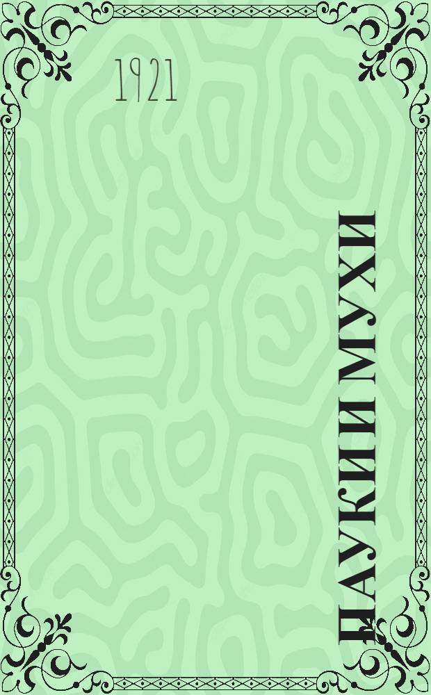 Пауки и мухи