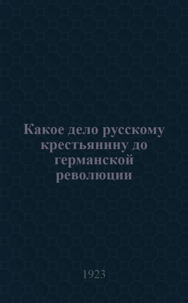 Какое дело русскому крестьянину до германской революции