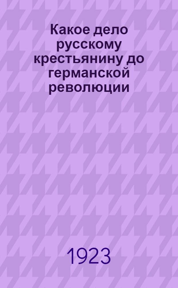Какое дело русскому крестьянину до германской революции