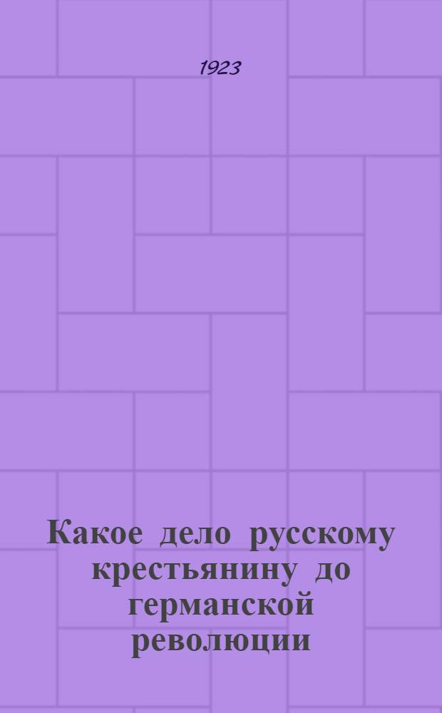 Какое дело русскому крестьянину до германской революции