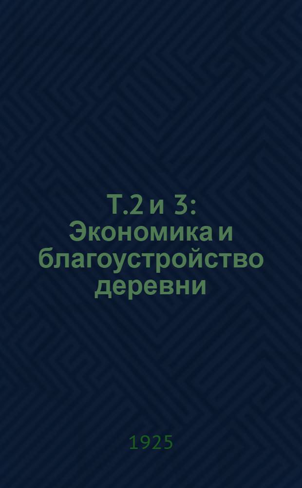 Т.2 и 3 : Экономика и благоустройство деревни