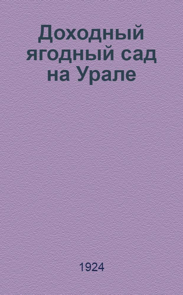 Доходный ягодный сад на Урале