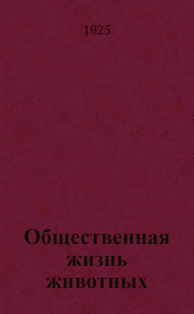 Общественная жизнь животных