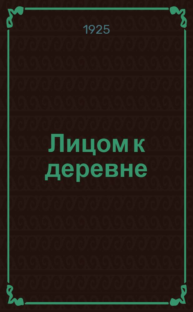 Лицом к деревне