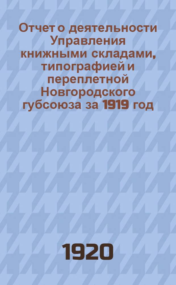 Отчет о деятельности Управления книжными складами, типографией и переплетной Новгородского губсоюза за 1919 год
