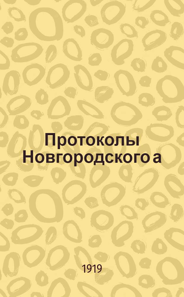 Протоколы Новгородского а) губернского 1-го съезда секретарей волостных исполкомов 20-25 января 1919 года и б) 1-го губернского съезда председателей уездных отделов управления, заведывающих информационно-инструкторскими подотделами и инструкторов последних 26-28 января 1919 года