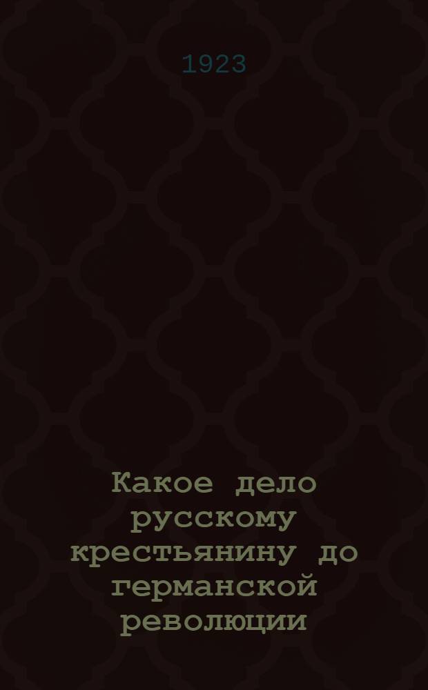 Какое дело русскому крестьянину до германской революции
