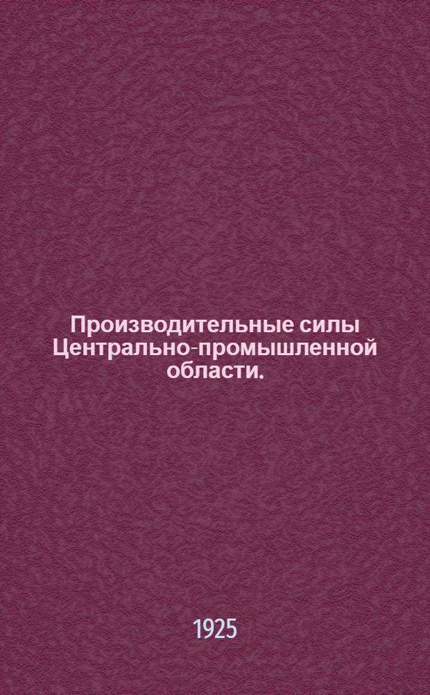 Производительные силы Центрально-промышленной области.