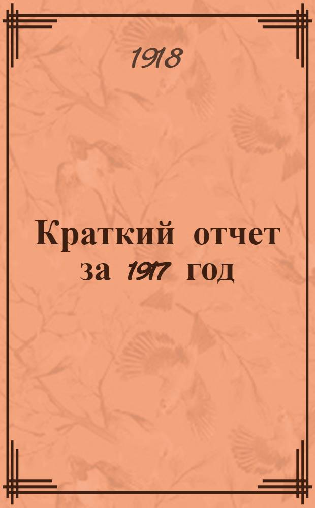 Краткий отчет за 1917 год (2-й год)