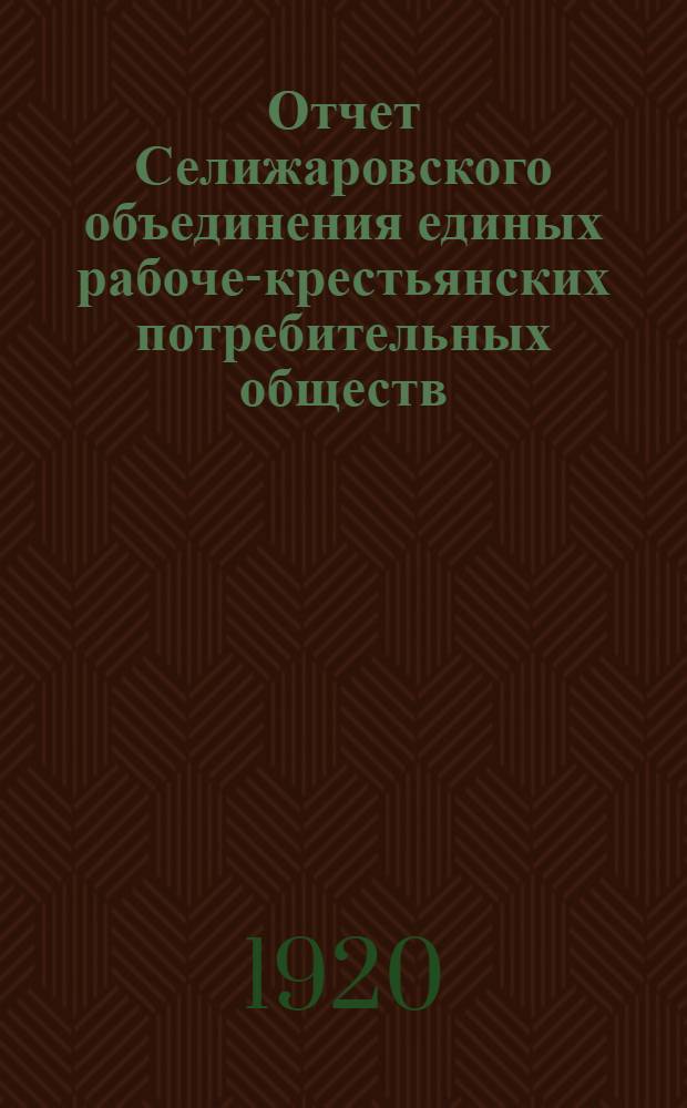 Отчет Селижаровского объединения единых рабоче-крестьянских потребительных обществ... ... за 1919 г.