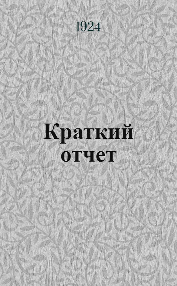 Краткий отчет