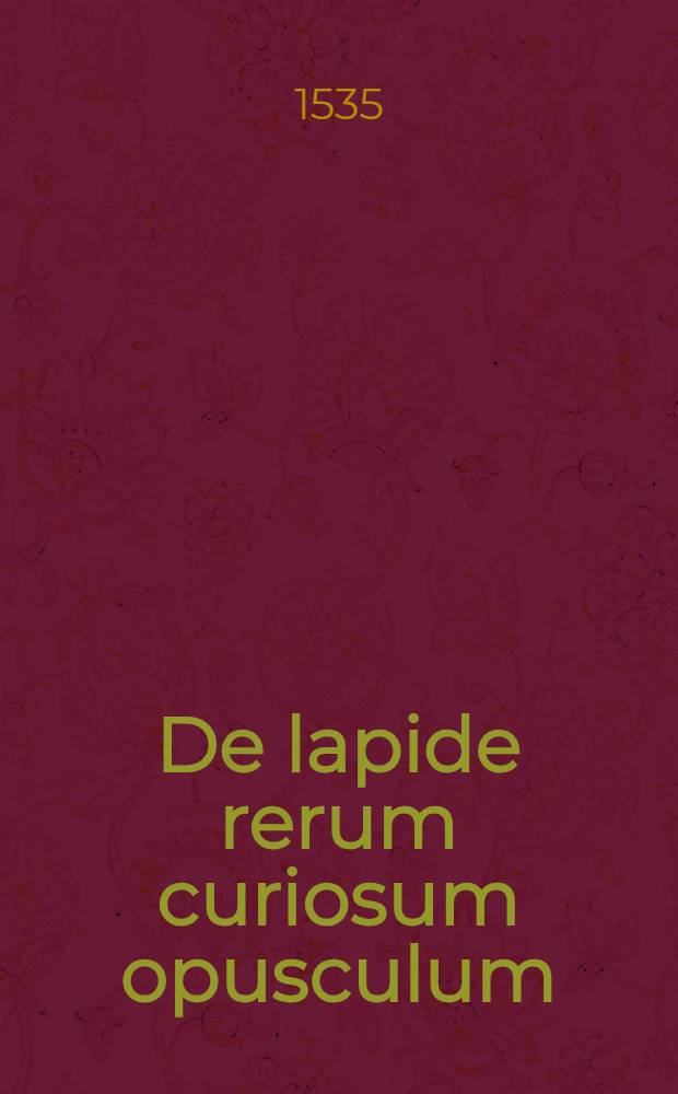 De lapide rerum curiosum opusculum