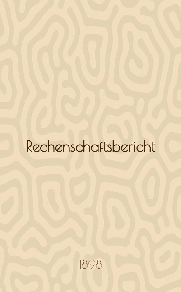 Rechenschaftsbericht