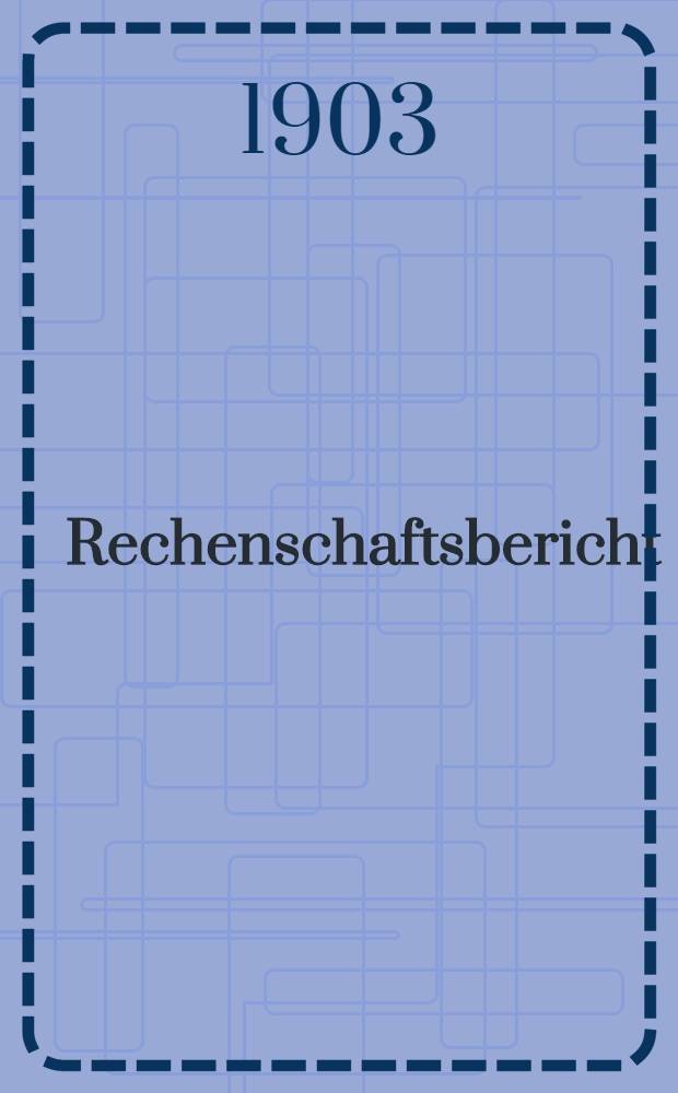 Rechenschaftsbericht