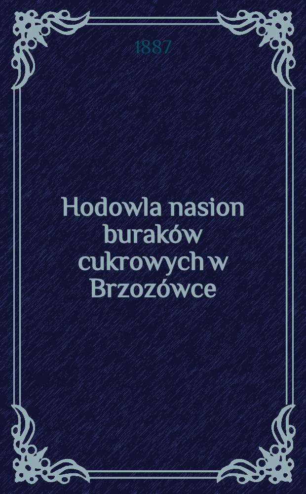 Hodowla nasion buraków cukrowych w Brzozówce