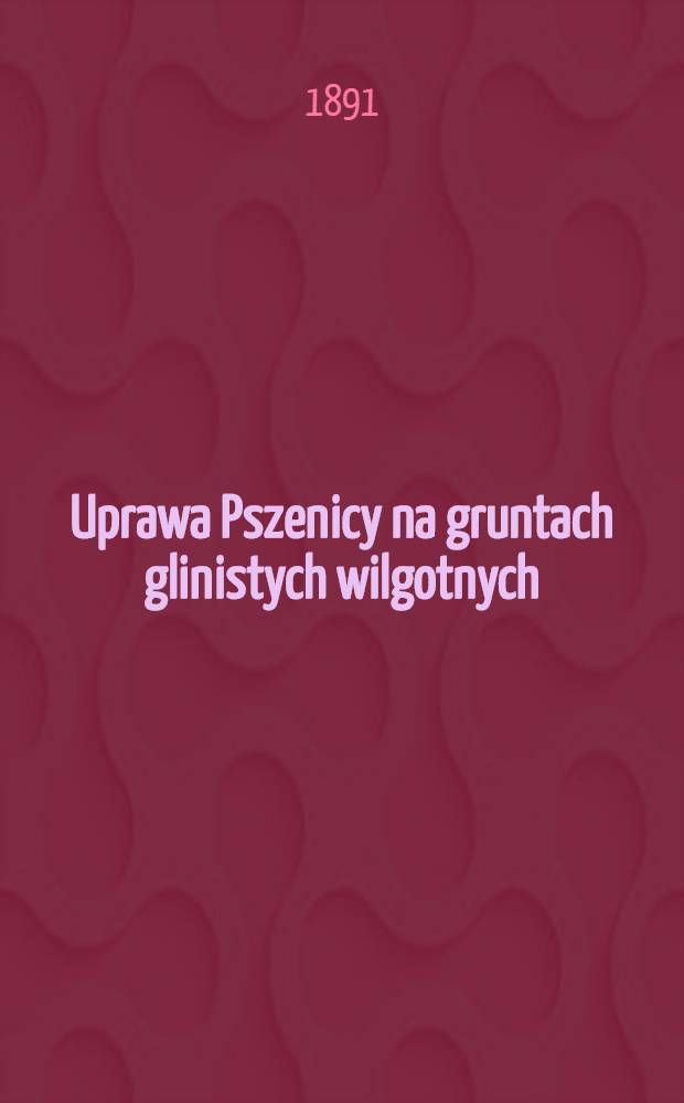 Uprawa Pszenicy na gruntach glinistych wilgotnych