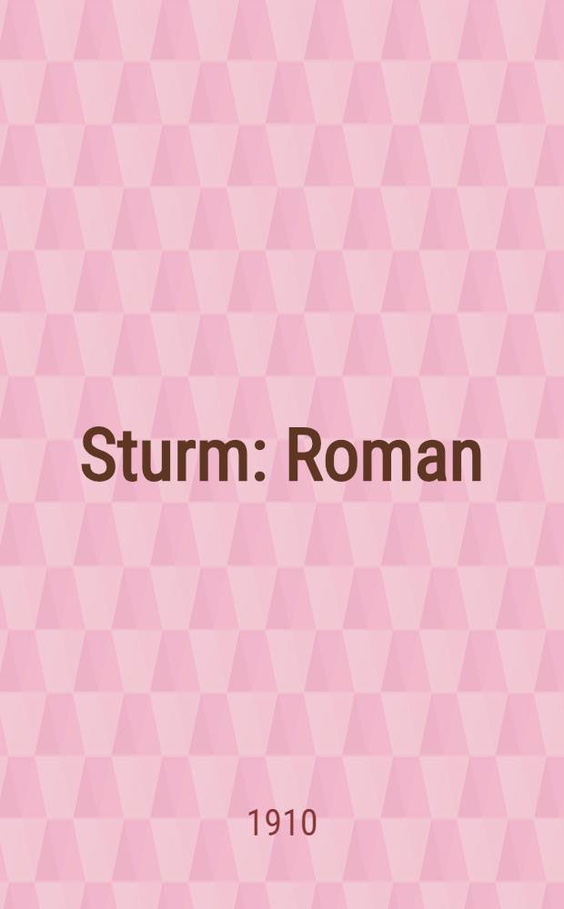 Sturm : Roman