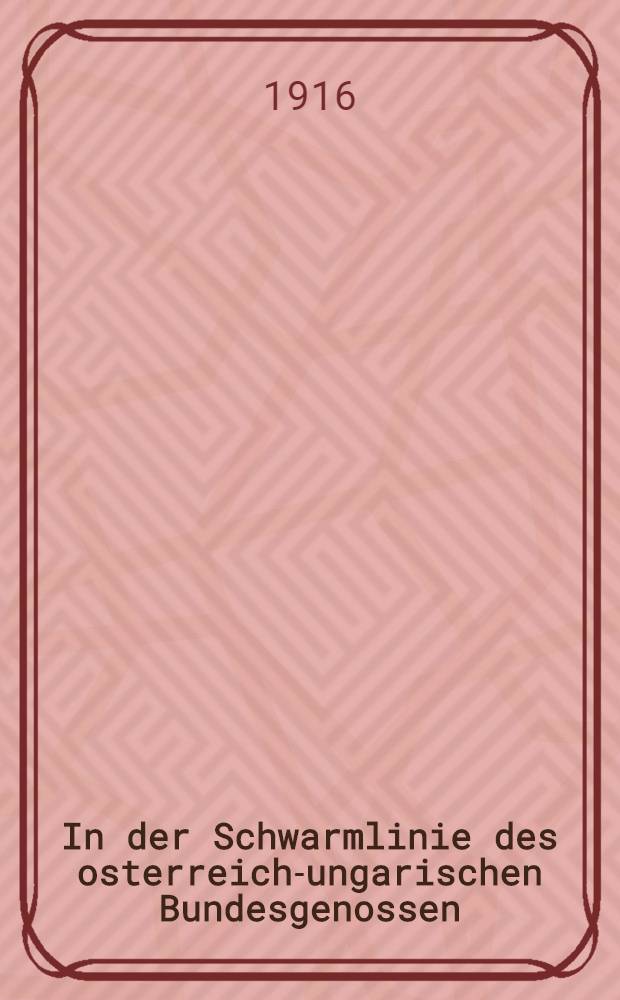 In der Schwarmlinie des osterreich-ungarischen Bundesgenossen