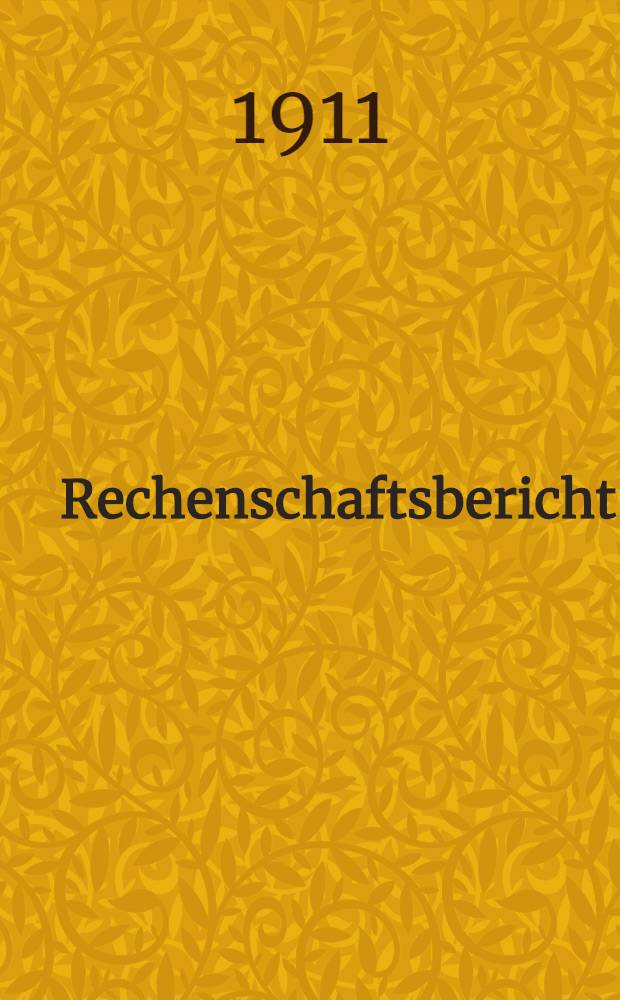 Rechenschaftsbericht