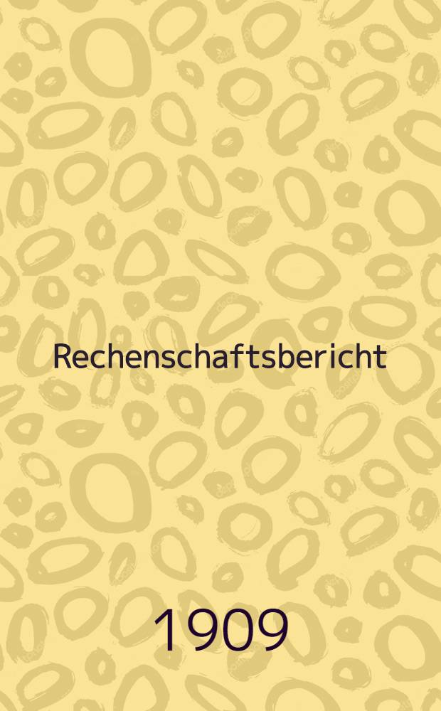 Rechenschaftsbericht