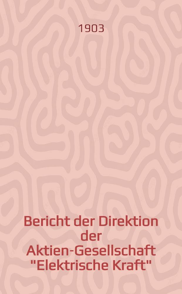Bericht der Direktion der Aktien-Gesellschaft "Elektrische Kraft"