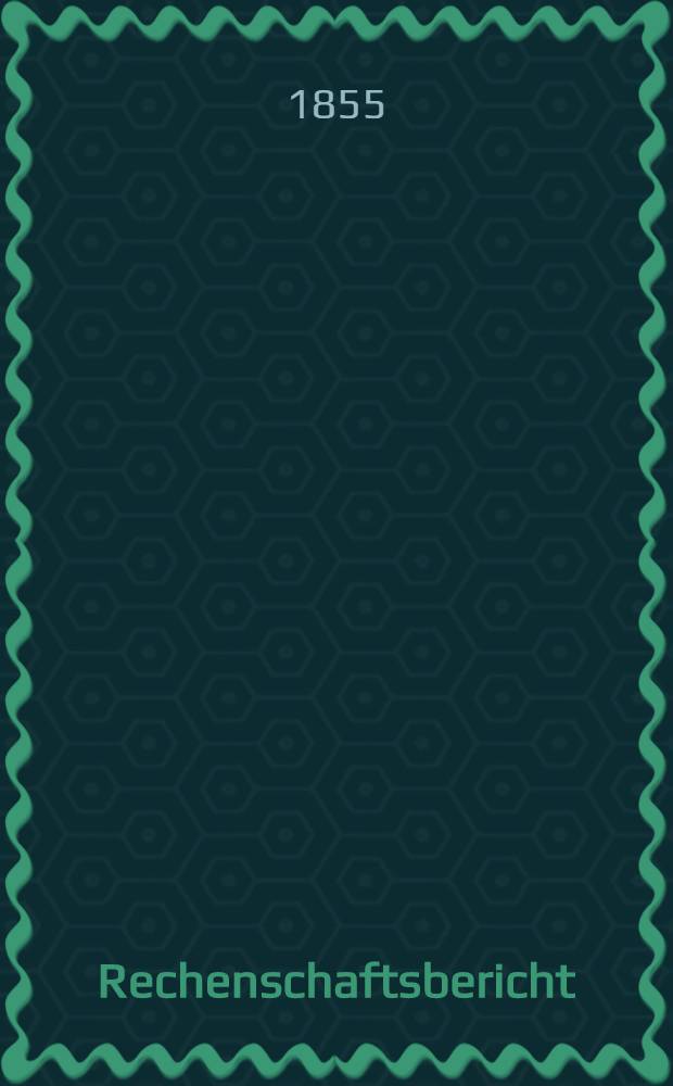Rechenschaftsbericht