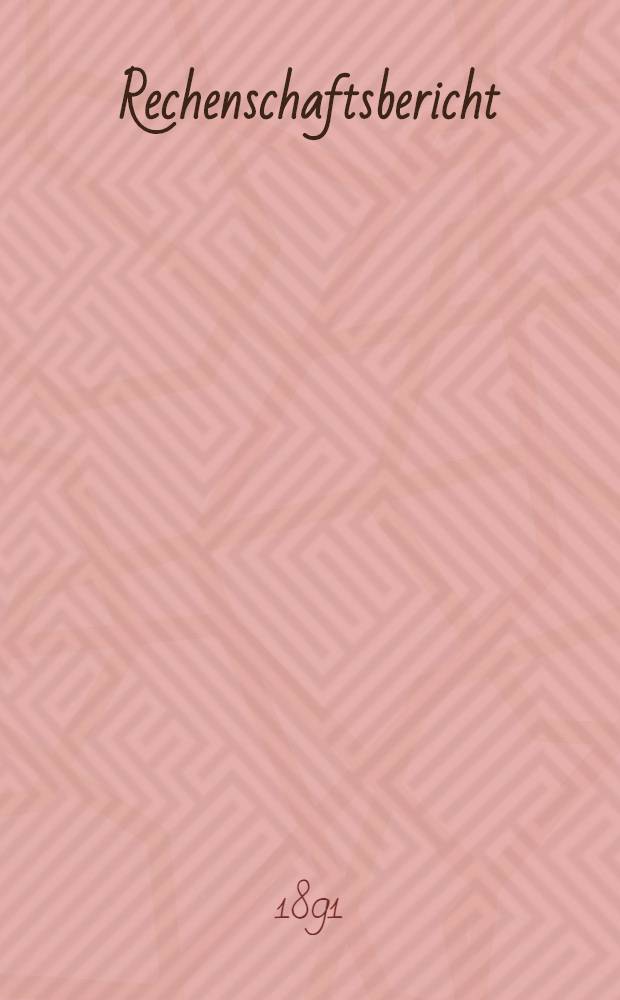 Rechenschaftsbericht