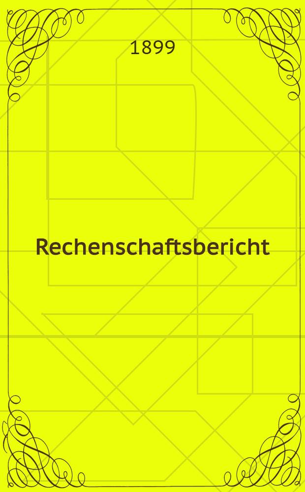 Rechenschaftsbericht