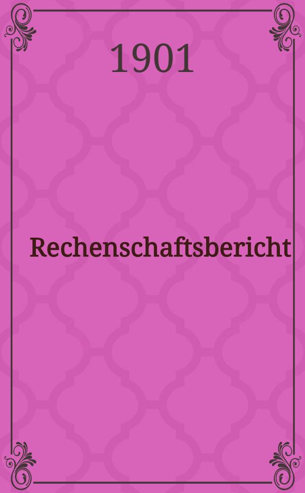 Rechenschaftsbericht