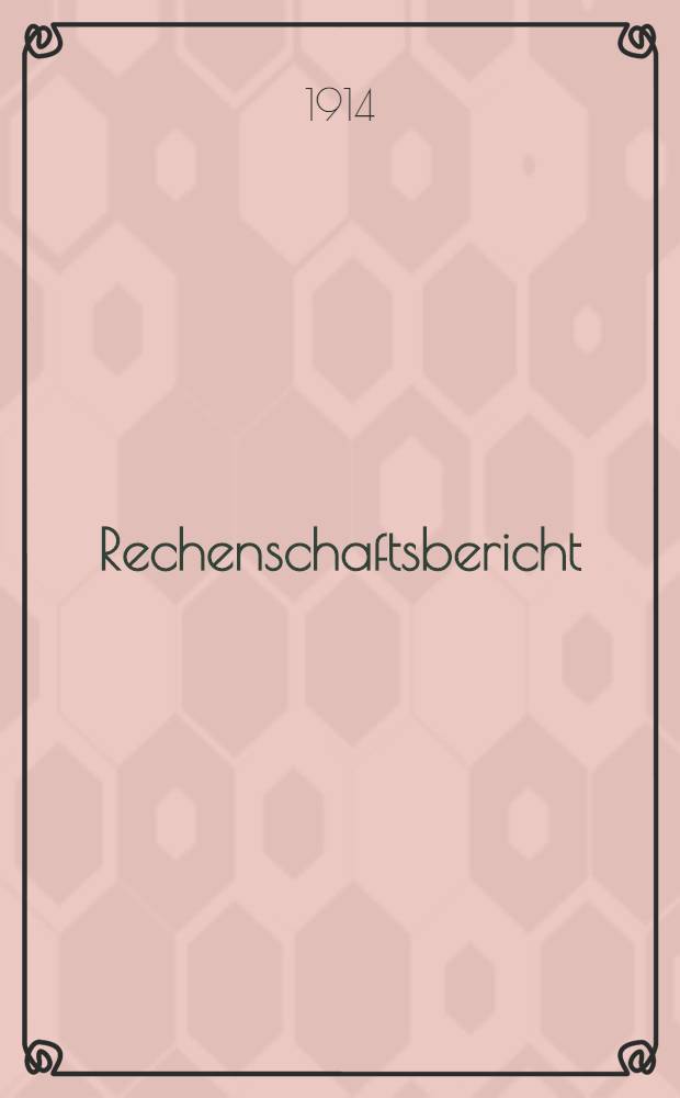 Rechenschaftsbericht