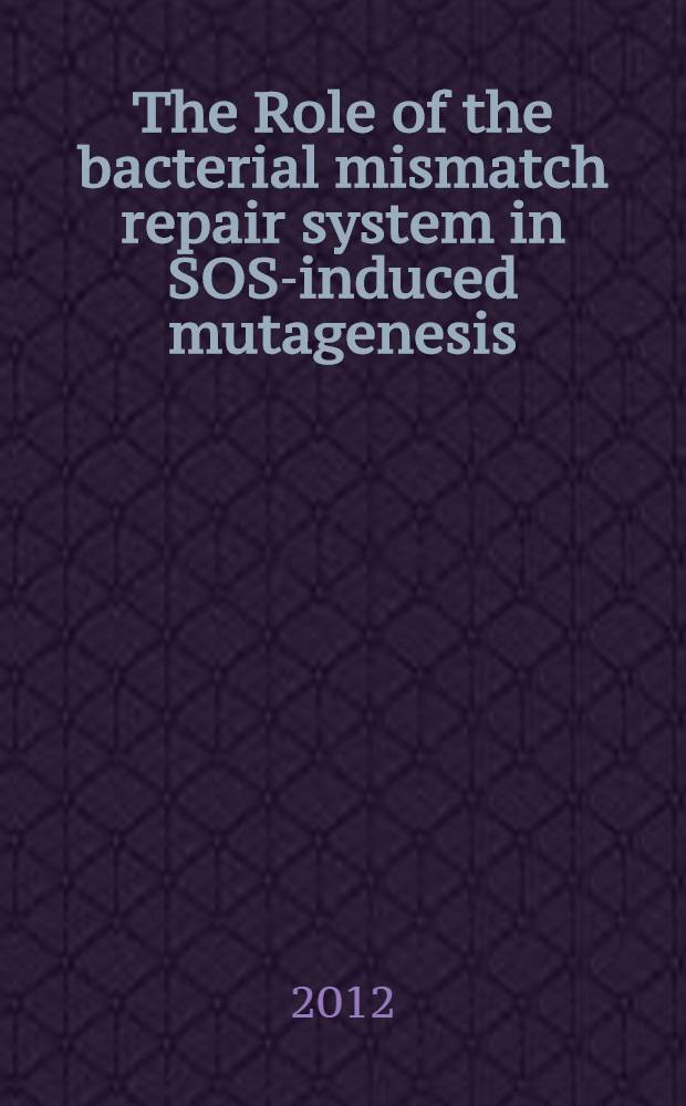 The Role of the bacterial mismatch repair system in SOS-induced mutagenesis: a theoretical background