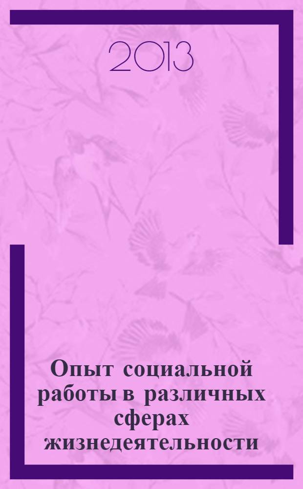 Опыт социальной работы в различных сферах жизнедеятельности : управляющий блок учебно-методического комплекса : направление 040400.62 "Социальная работа"