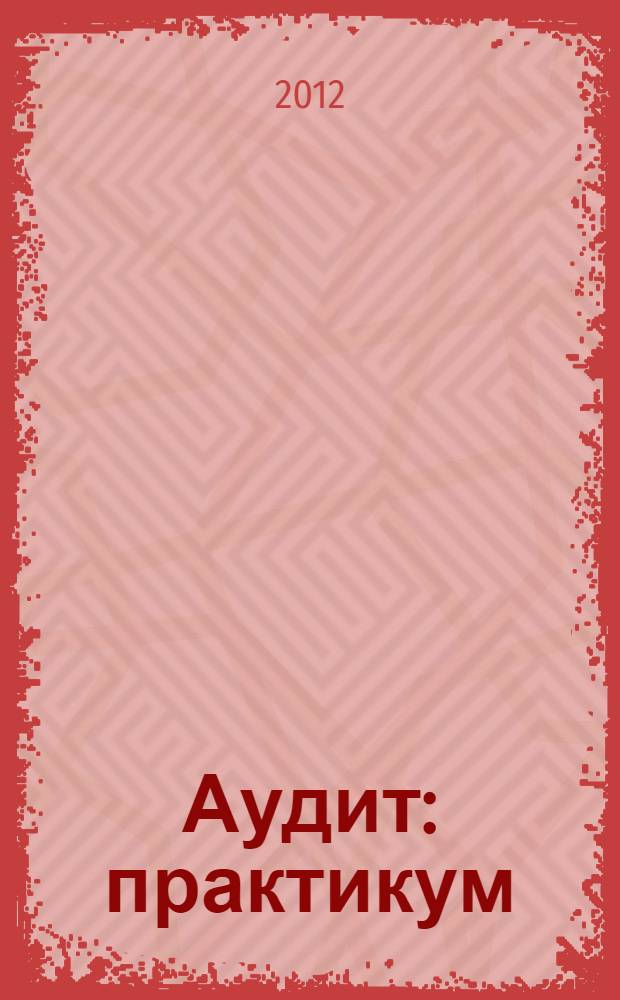 Аудит : практикум : 16+