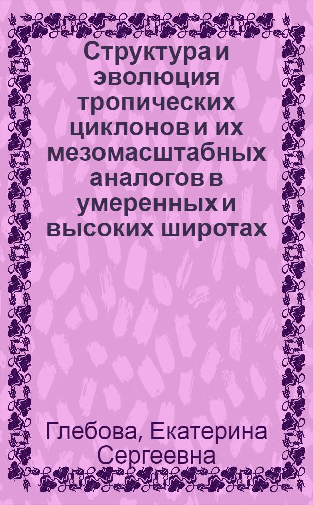 Структура и эволюция тропических циклонов и их мезомасштабных аналогов в умеренных и высоких широтах : автореф. дис. на соиск. учен. степ. к. г. н. : специальность 25.00.30 <Метеорология, климатология, агрометеорология>
