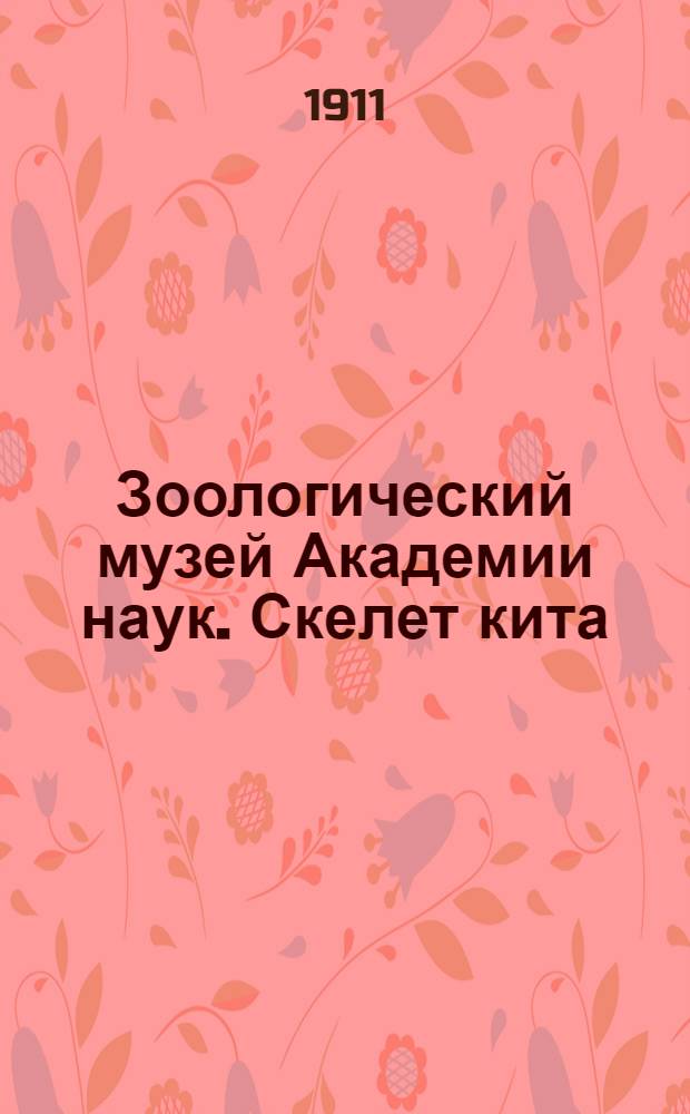 Зоологический музей Академии наук. Скелет кита : открытое письмо
