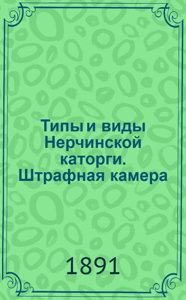 Типы и виды Нерчинской каторги. Штрафная камера