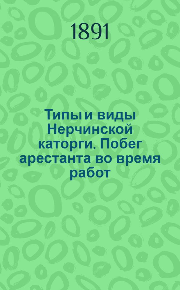 Типы и виды Нерчинской каторги. Побег арестанта во время работ